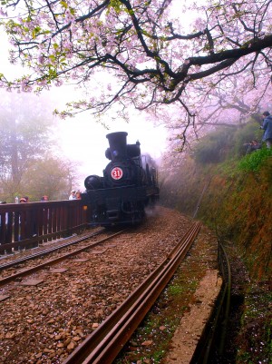 嘉義アリ山森林鉄道